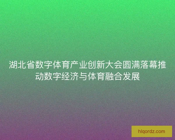 湖北省数字体育产业创新大会圆满落幕推动数字经济与体育融合发展